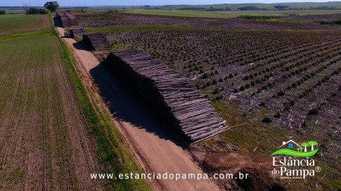 DOS EÓLICOS VIRA P FAZENDA_Moment.00_00_31_17.Quadro311_be588cf3409d5ea67a0dd879d412963110213ed5.jpg